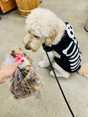 Baci & his snacks run! Beef taffy, lamb lungs and smoke bones. He's a Meat guy!