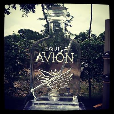 Avion ice sculpture