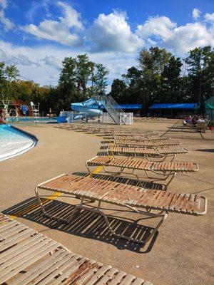 Poolside lounge chairs