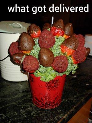 What got delivered to my brother's family from this edible arrangements shop.