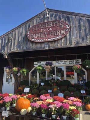 Early fall at the market