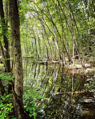 Allamuchy Mountain State Park