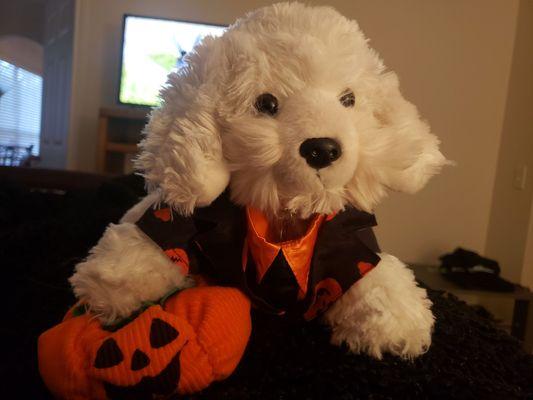 Archie in his build a bear halloween outfit!!