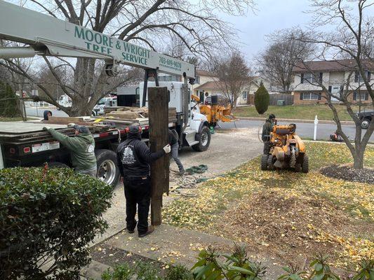 The stump grinder approaches.