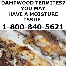 CALL NOW FOR A FREE TERMITE INSPECTION!