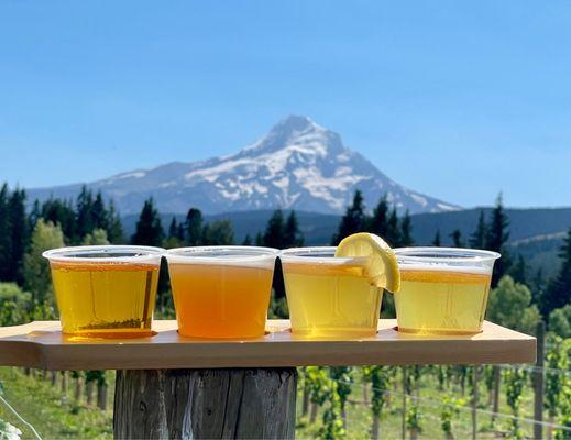 Mountain View Brewing