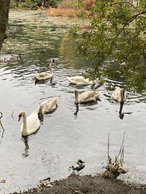 Jenney Pond Park