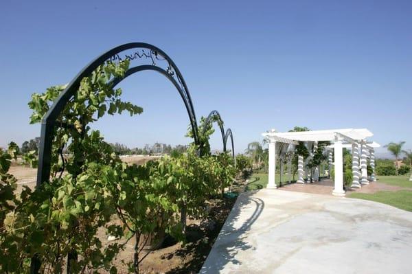 Custom Arches for a local Temecula Winery