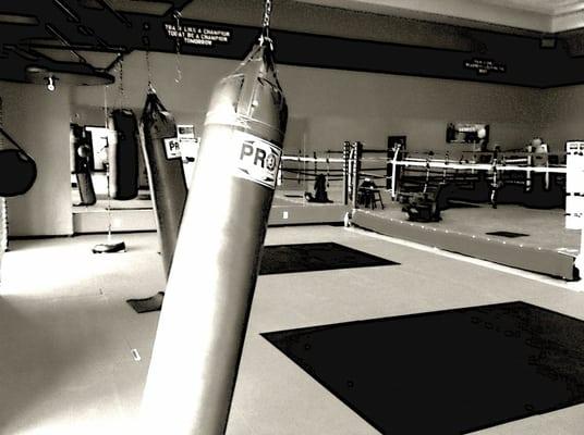 Boxing and Martial Arts Studio