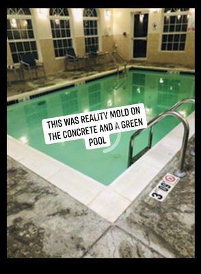 Reality a green pool that smelled and had moldy concrete all around it