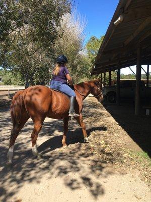 Shadow Hills Riding School