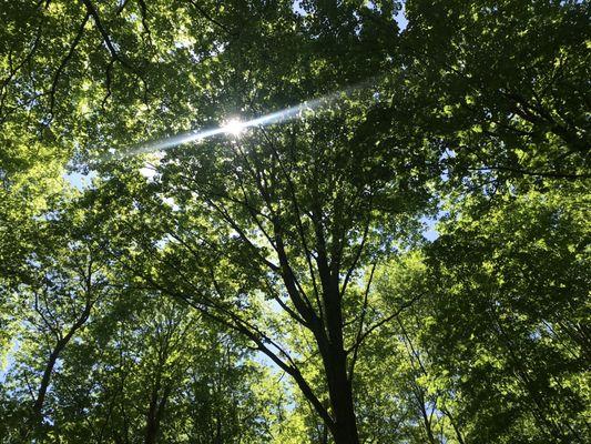 Great Hollow Nature Preserve & Ecological Research Center