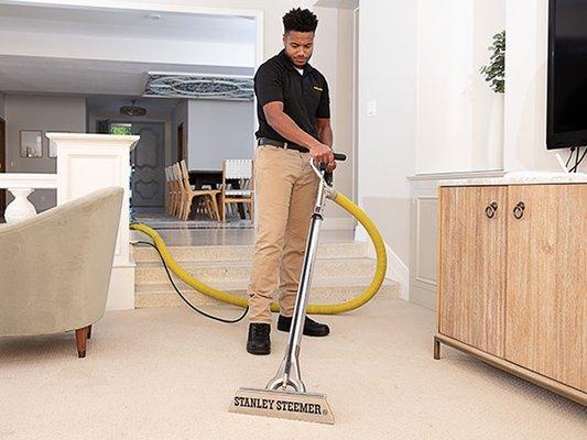 Stanley Steemer Carpet Cleaning Services