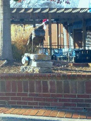 Bob got a Santa's hat! Gobble Christmas Bob!