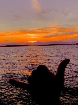 Maury Island Marine Area & Nature Park