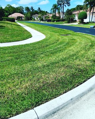 Green grass and sunshine. The experts