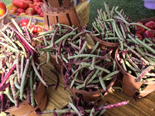 Beautiful pink and green shelled peas in the pod