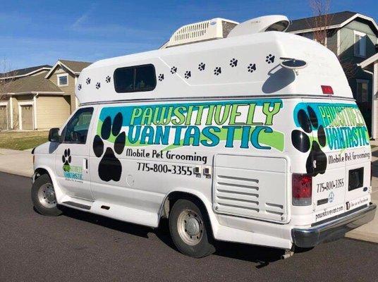 Pawsitively Vantastic