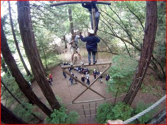 One of our favorite activities on the High Ropes Course is the 3 person Vertical Play Pen.