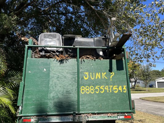 Trees debris