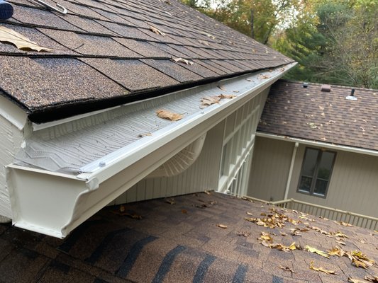 Gutter guards LeafBlasterPRO