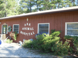 Ark Animal Hospital