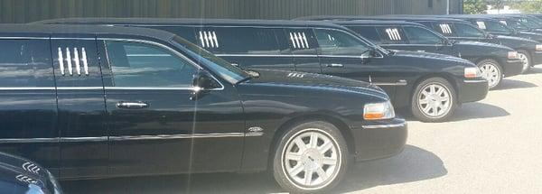 Our limousine fleet!!!