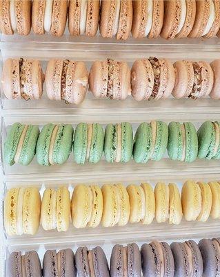 Fall Macarons: Pumpkin, Salted Caramel, Maple Pecan, Apple Butter, Blackberry