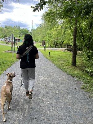 Shelter puppy Ren learns how to lose-leash walk with his mom at a local park.