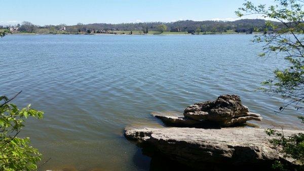 An incredibly peaceful afternoon at the lake.