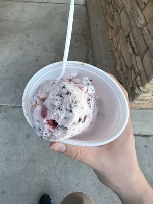 Cherry Chip Ice Cream