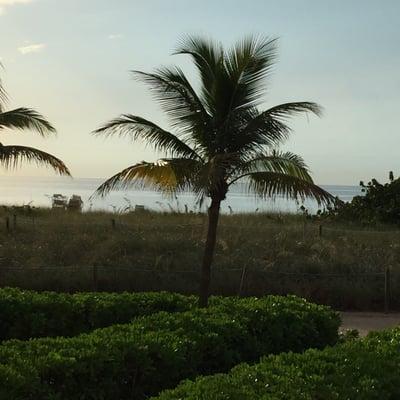 View from the pool.