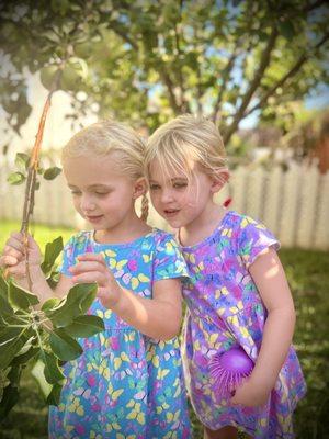 Little Farm Preschool