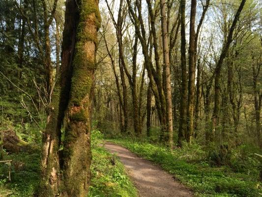 Path at Whipple Creek Regional Park