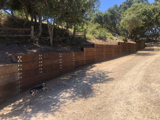 Pressure treated retaining wall.