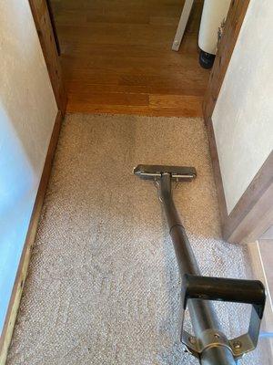 Carpet cleaning before and after