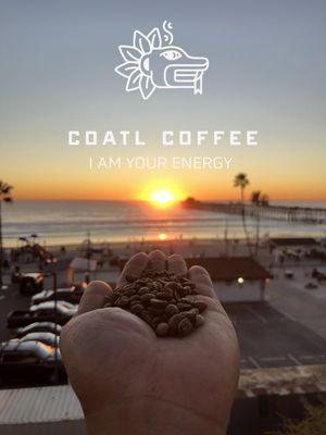 Coatl Coffee supports our Oceanside community by sourcing some of the worlds best coffee.