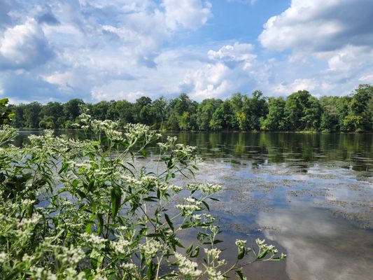 Potomac River