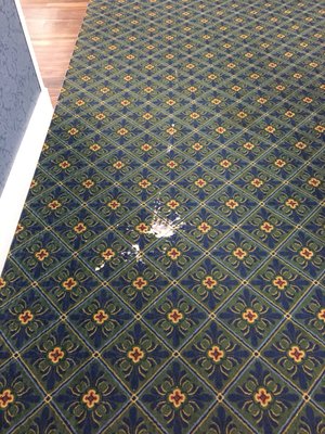 Bleach stain in Carpet