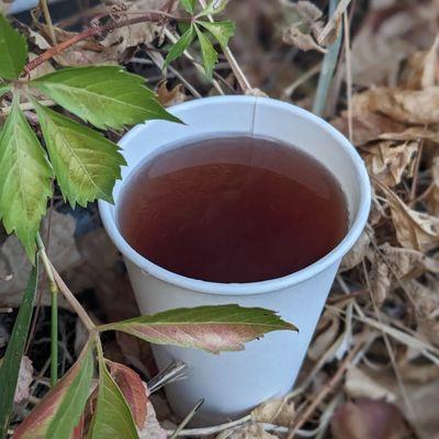 Hibiscus Berry Sustainably Sourced Tea