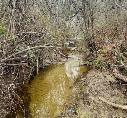 Creek crossing .. there is a bridge.