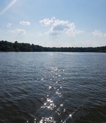 View from the lake from one of their pontoon boats.