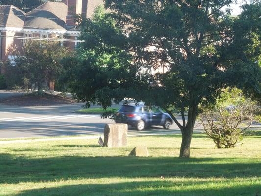 The son of the Charter Oak. Located on the big lawn between Hopmeadow Street and the Simsbury Library