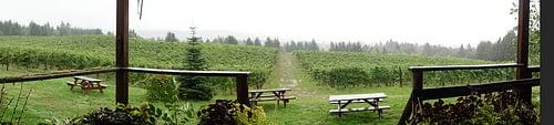 Picnic tables and vineyard views at Brick House Vineyards