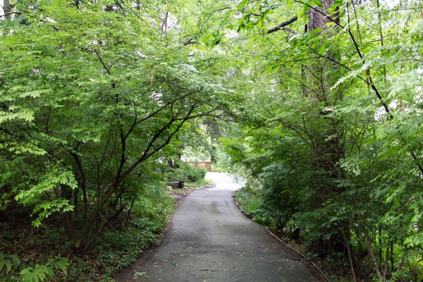 Inn's lower driveway