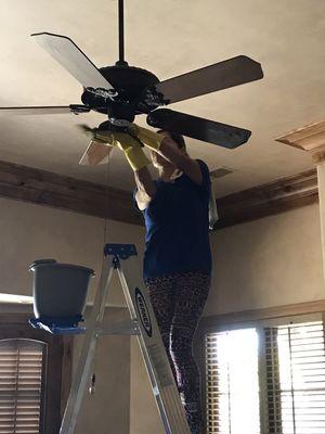 our proud: of leaving thorough clean the ceiling fans, free of dusting, deep clean.