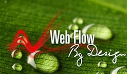 Web Flow By Design