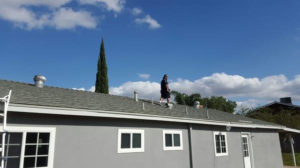 Gary on my roof. He's more handsome from this distance.