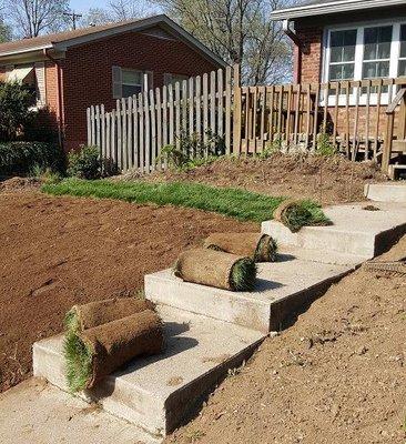 Sod Installation Lexington, KY