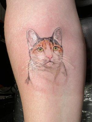 cat tattoo